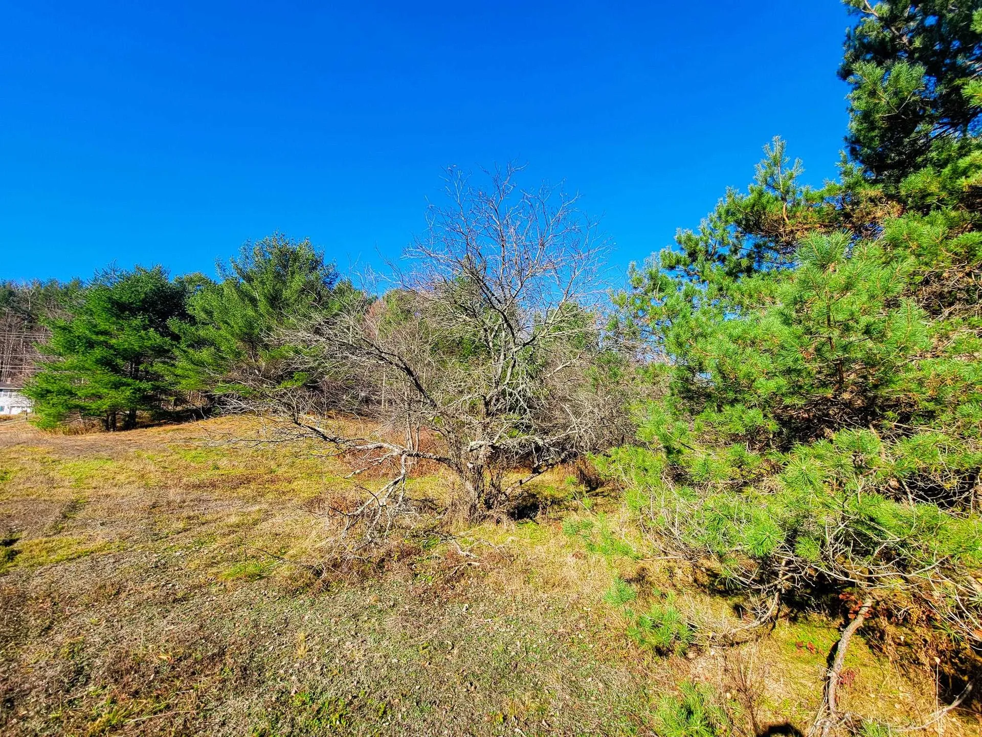 297 Farwell Street Barre Town VT 05641