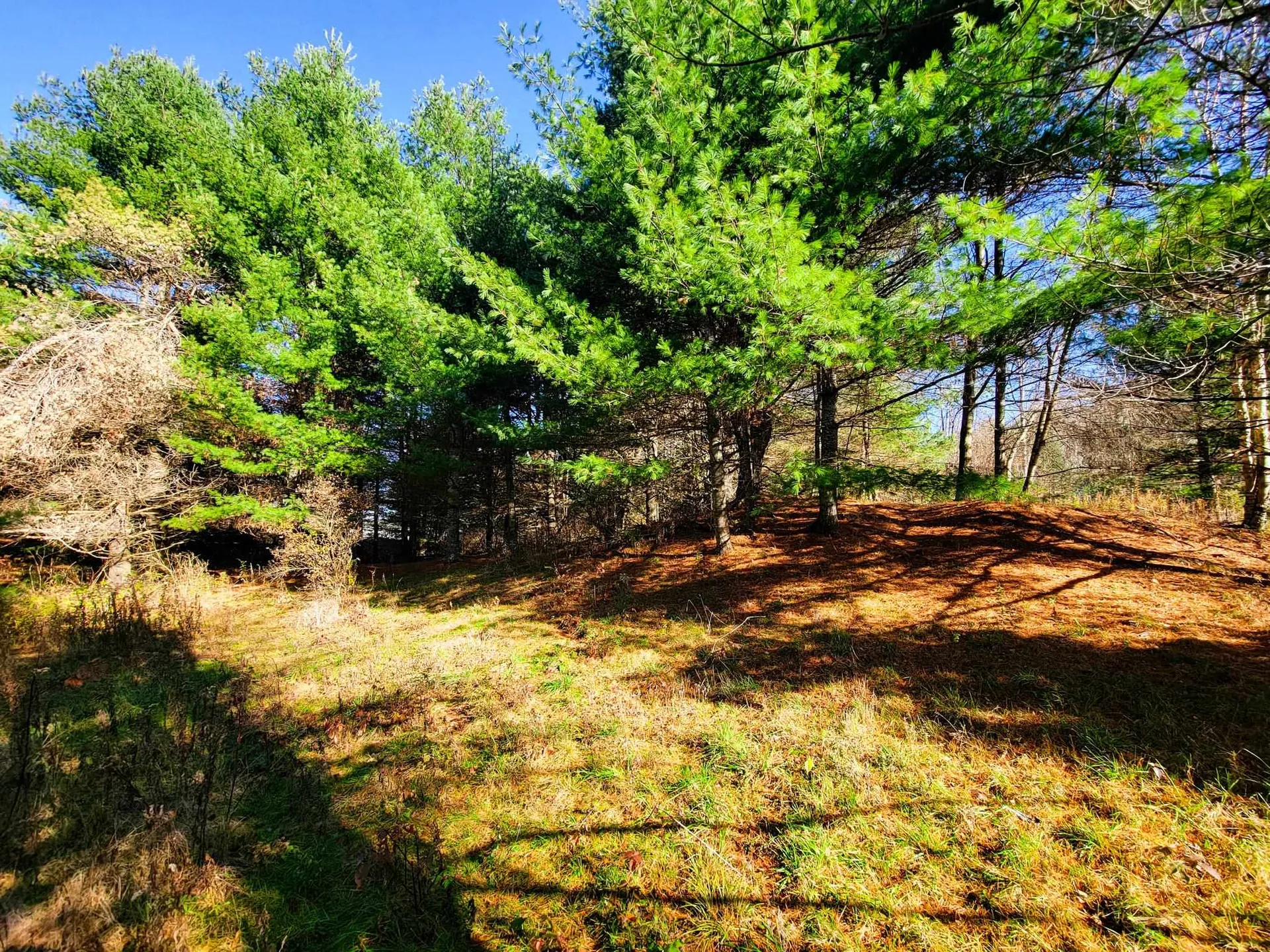 297 Farwell Street Barre Town VT 05641