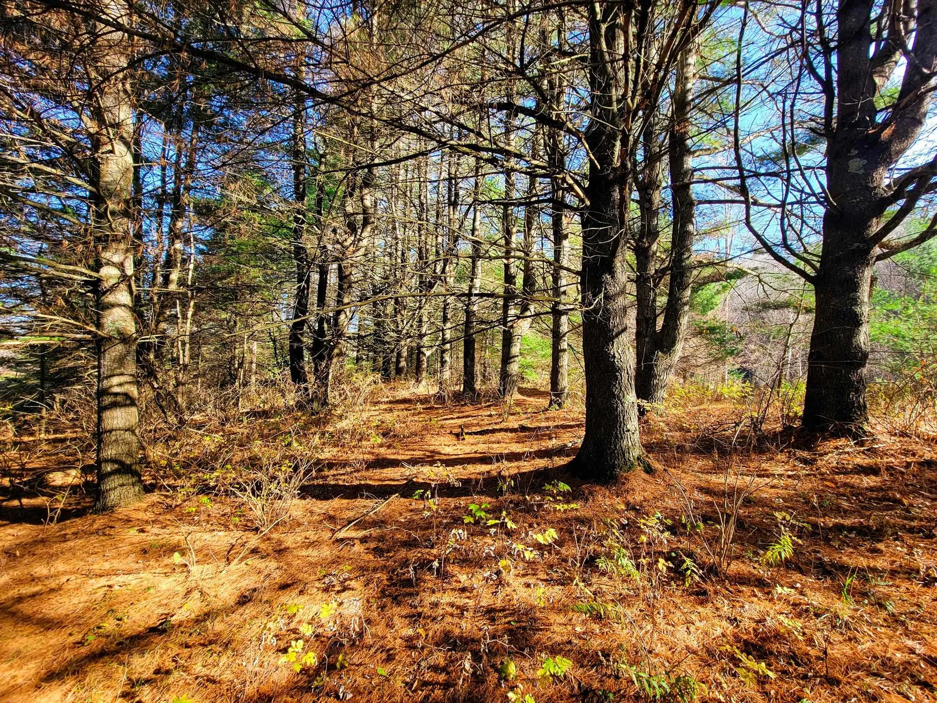 297 Farwell Street Barre Town VT 05641