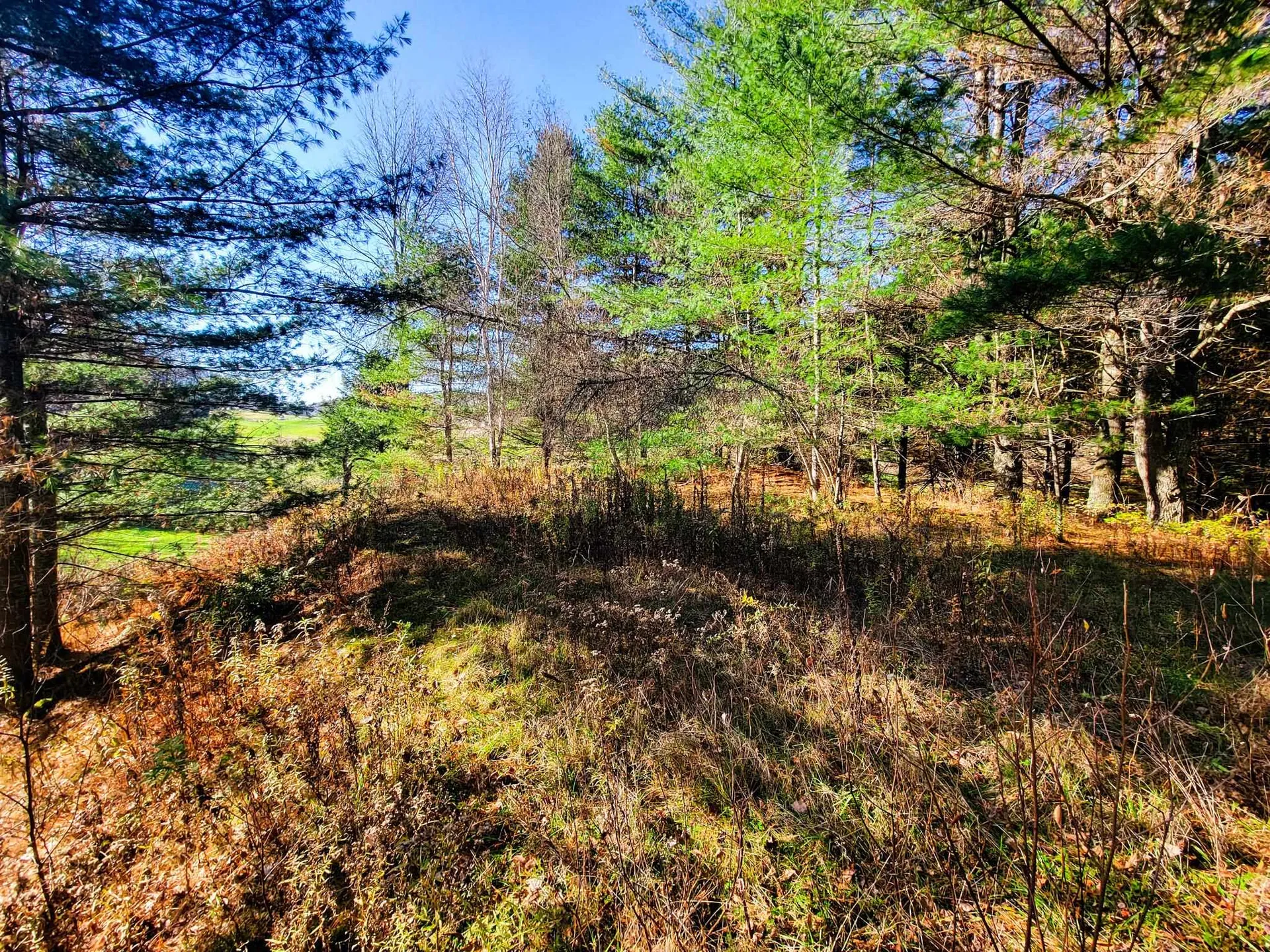 297 Farwell Street Barre Town VT 05641