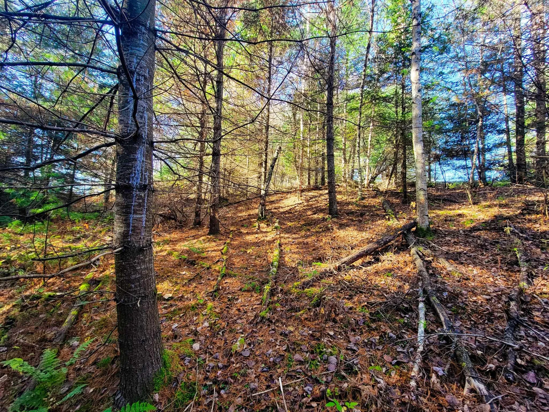 297 Farwell Street Barre Town VT 05641