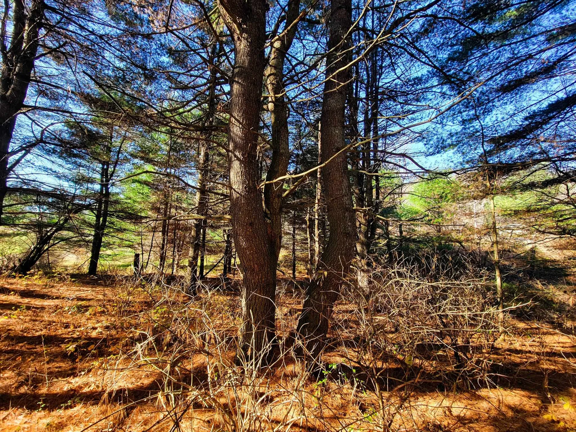297 Farwell Street Barre Town VT 05641