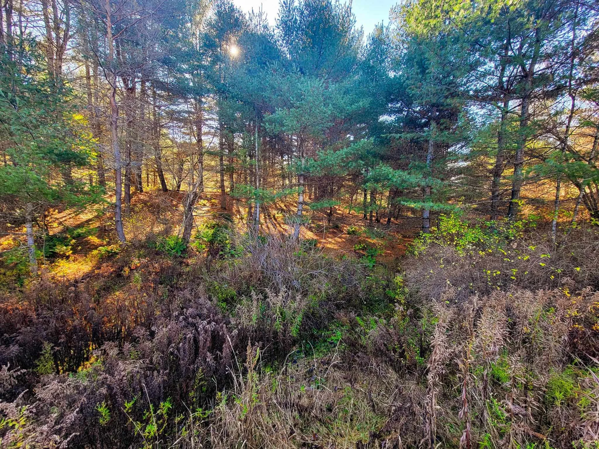 297 Farwell Street Barre Town VT 05641