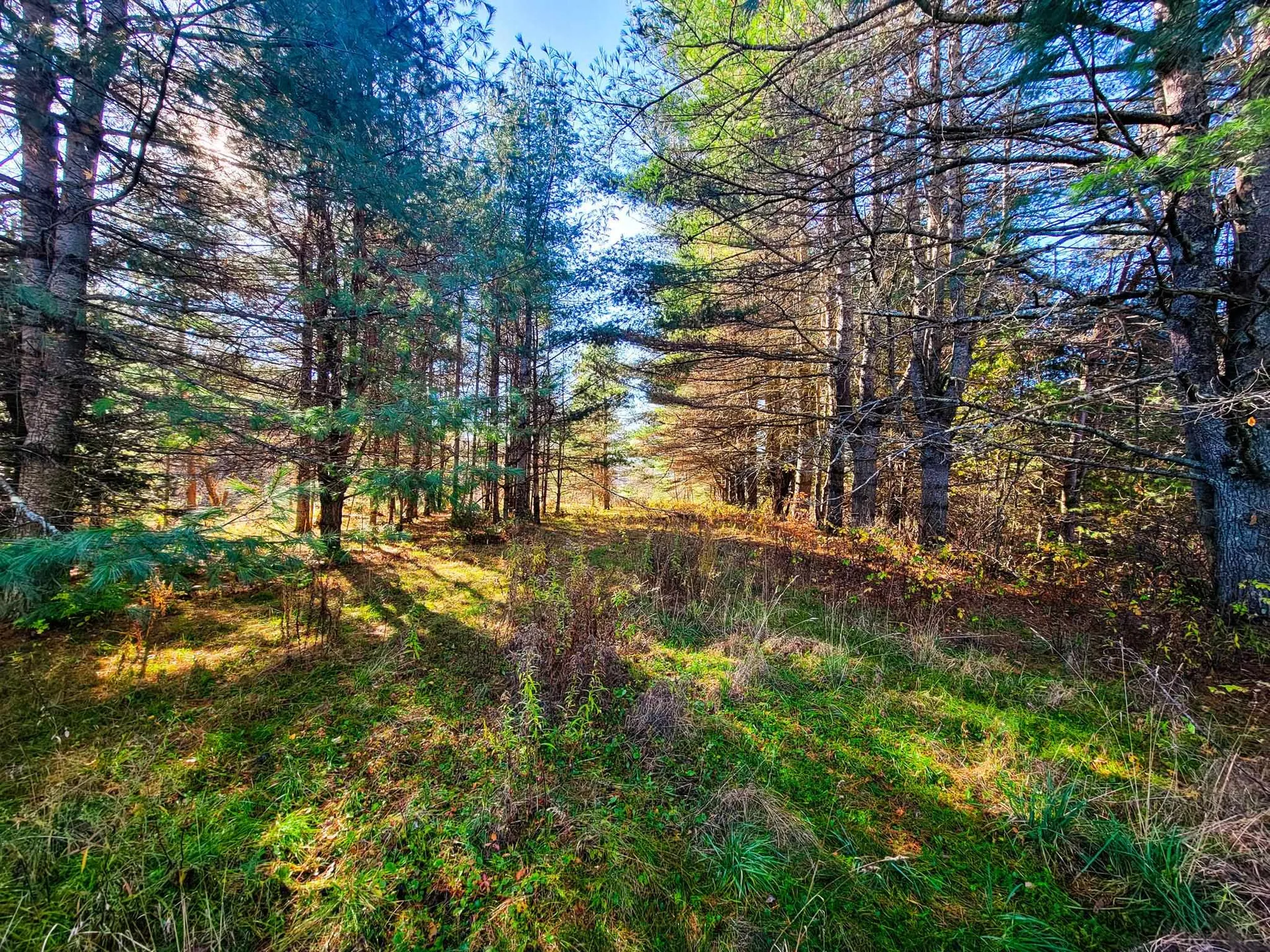 297 Farwell Street Barre Town VT 05641