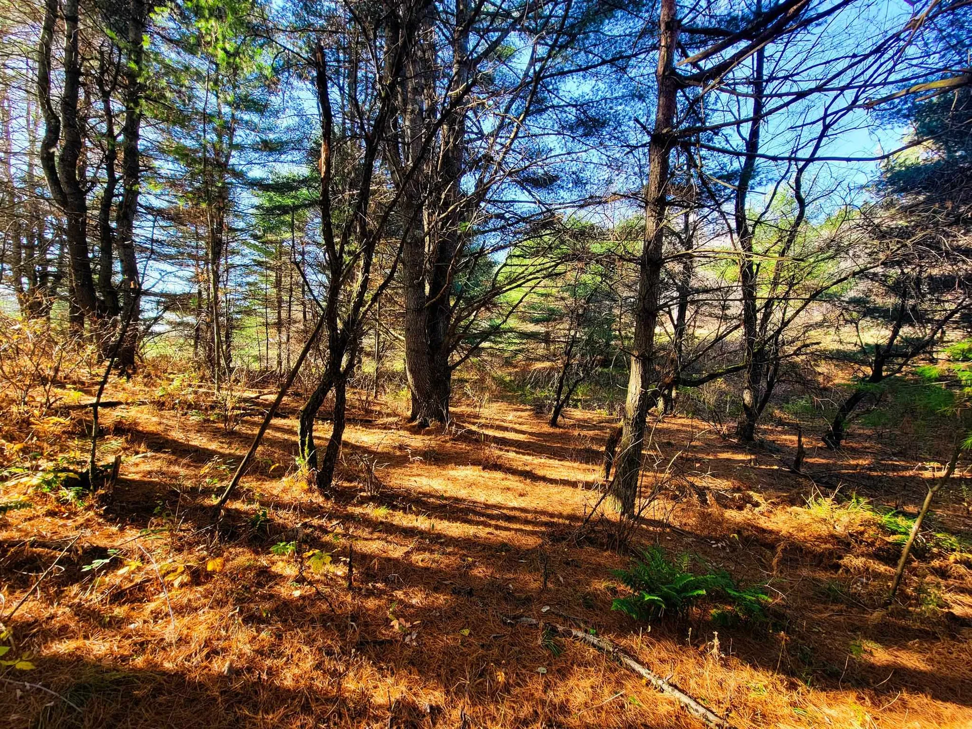 297 Farwell Street Barre Town VT 05641