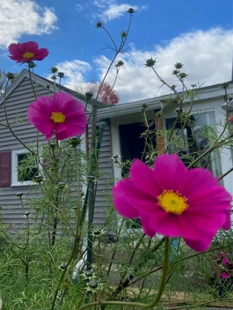 8 Stone Avenue Claremont NH 03743