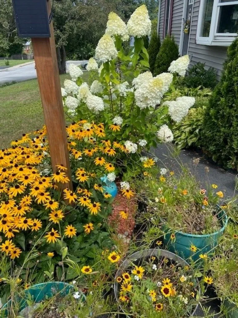 8 Stone Avenue Claremont NH 03743