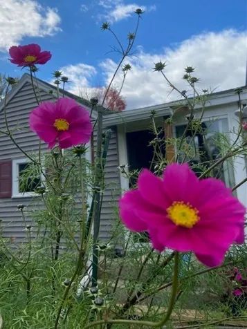 8 Stone Avenue Claremont NH 03743