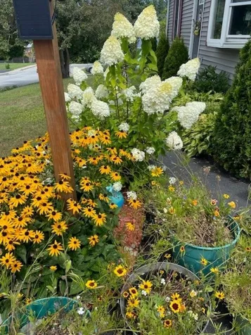 8 Stone Avenue Claremont NH 03743