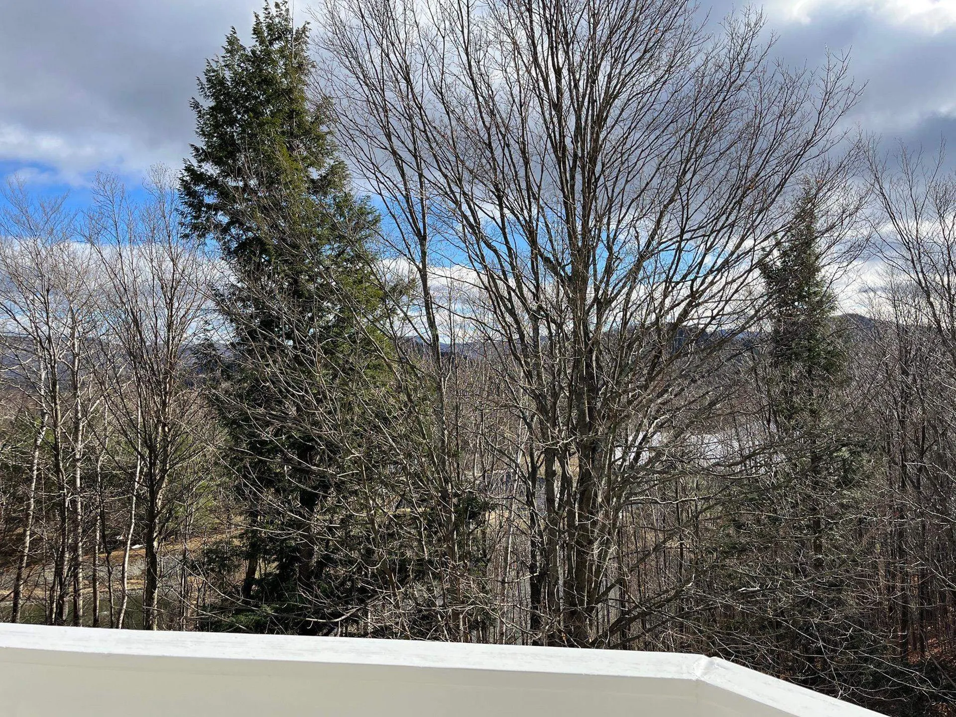 34 Paradise Way Warren VT 05674