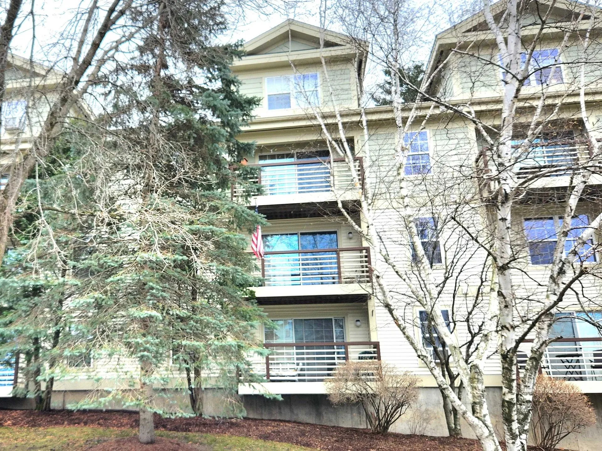 259 Hildred Drive Burlington VT 05401