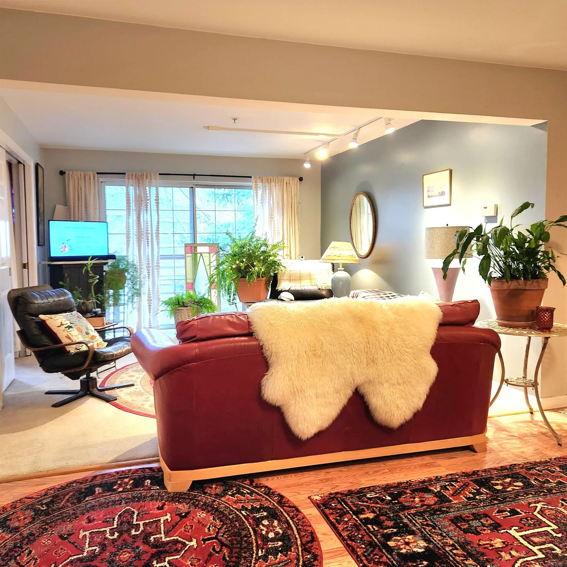 259 Hildred Drive Burlington VT 05401