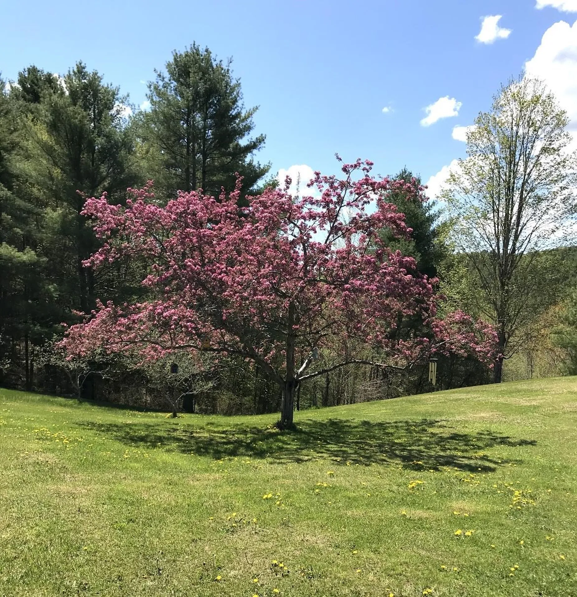 403 Chartier Hill Road Woodbury VT 05681