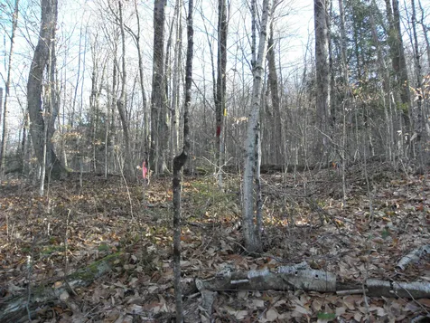 10 Wanigan Road Lincoln NH 03251