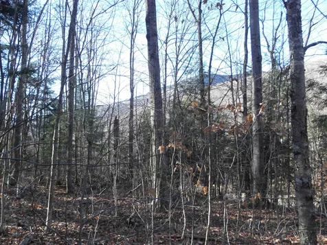 10 Wanigan Road Lincoln NH 03251