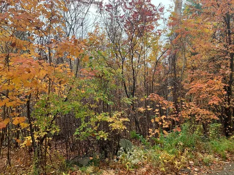 15-047-5 Couchtown Road Warner NH 03278