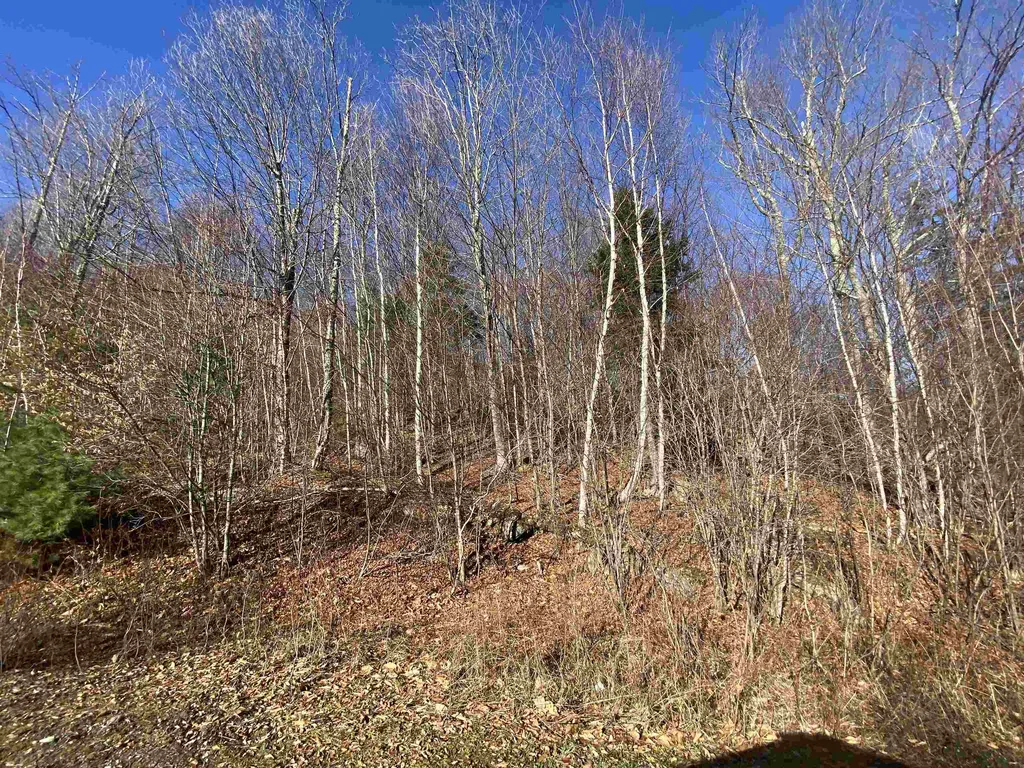 544 Campbell Road Bethel VT 05032
