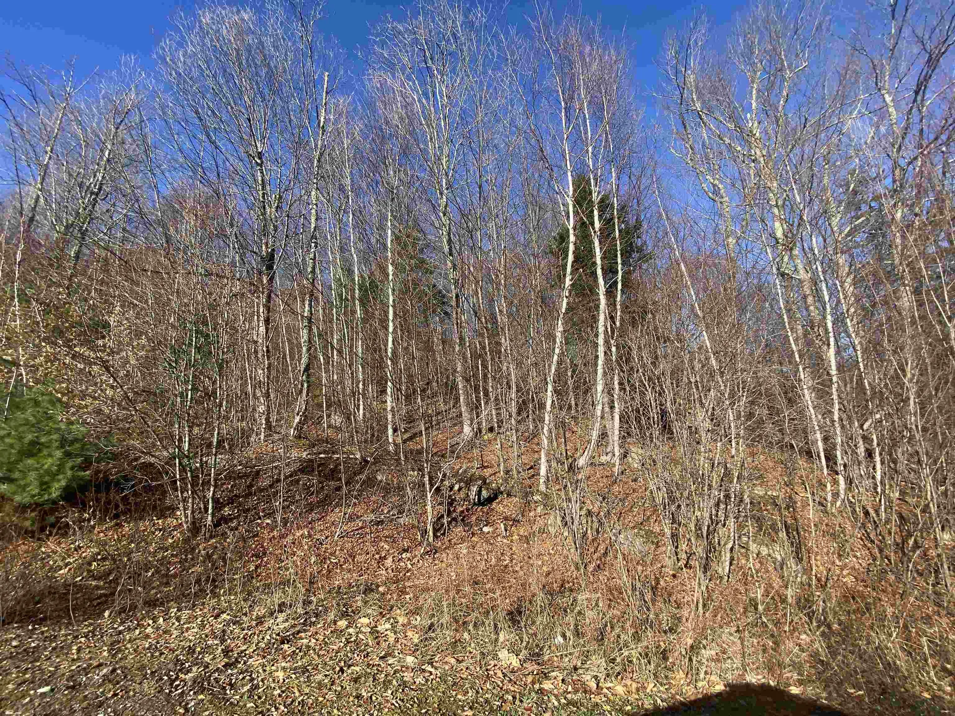 544 Campbell Road Bethel VT 05032