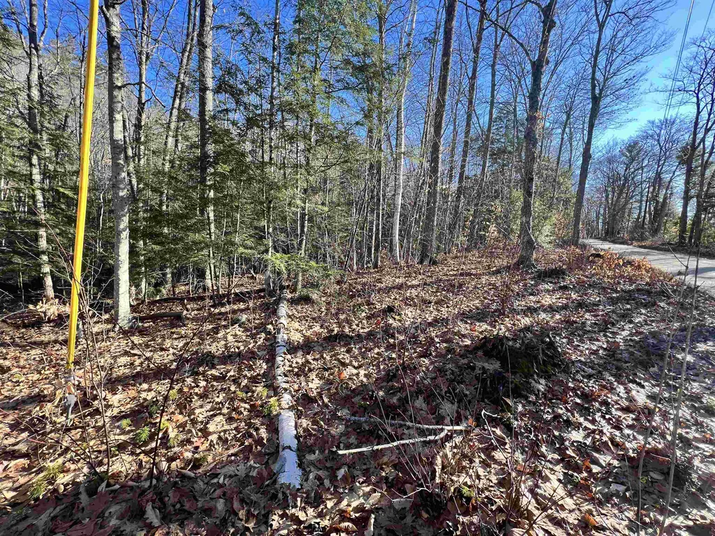 0 Hinkson Brook Road Canaan NH 03741