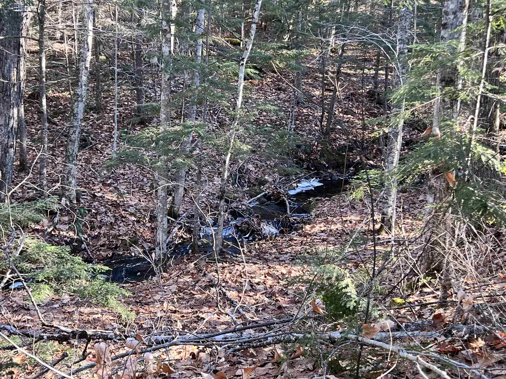 0 Hinkson Brook Road Canaan NH 03741
