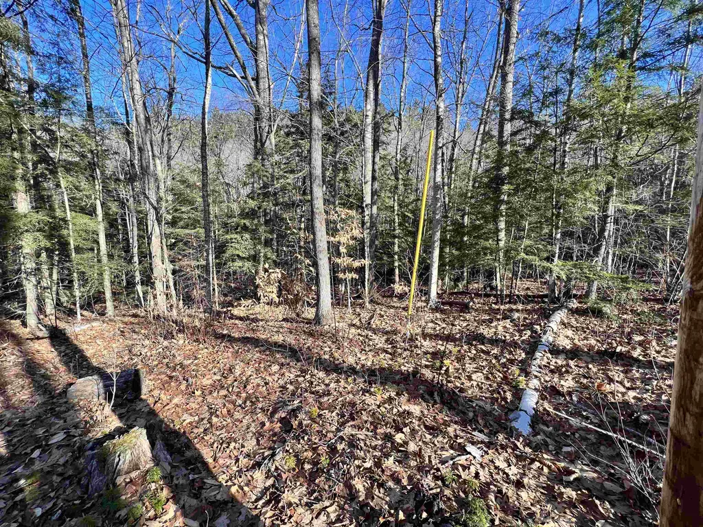 0 Hinkson Brook Road Canaan NH 03741
