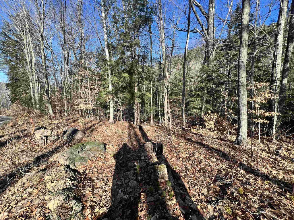 0 Hinkson Brook Road Canaan NH 03741