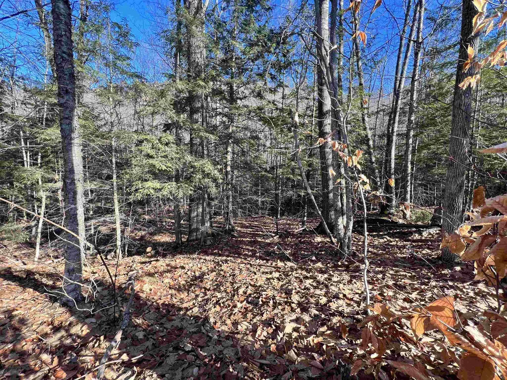 0 Hinkson Brook Road Canaan NH 03741