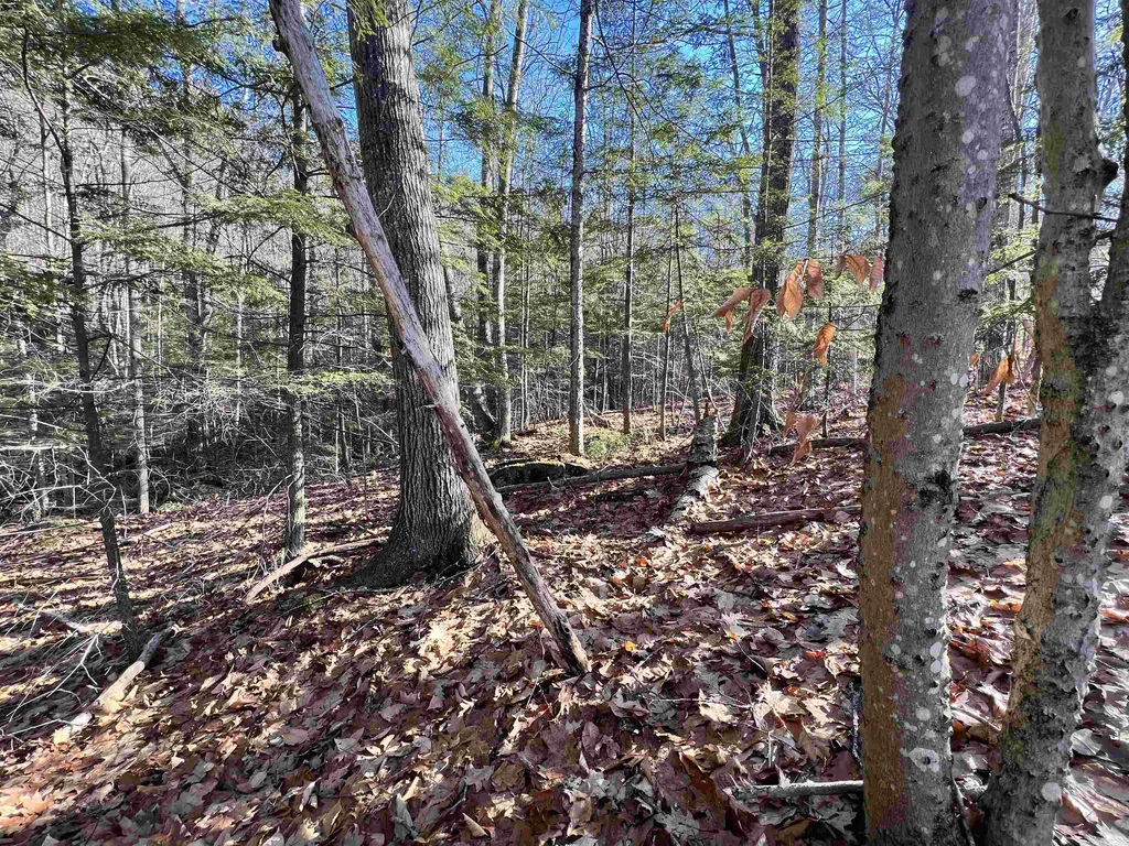 0 Hinkson Brook Road Canaan NH 03741