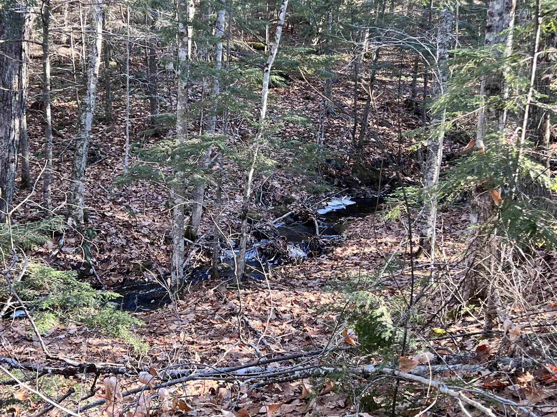 0 Hinkson Brook Road Canaan NH 03741