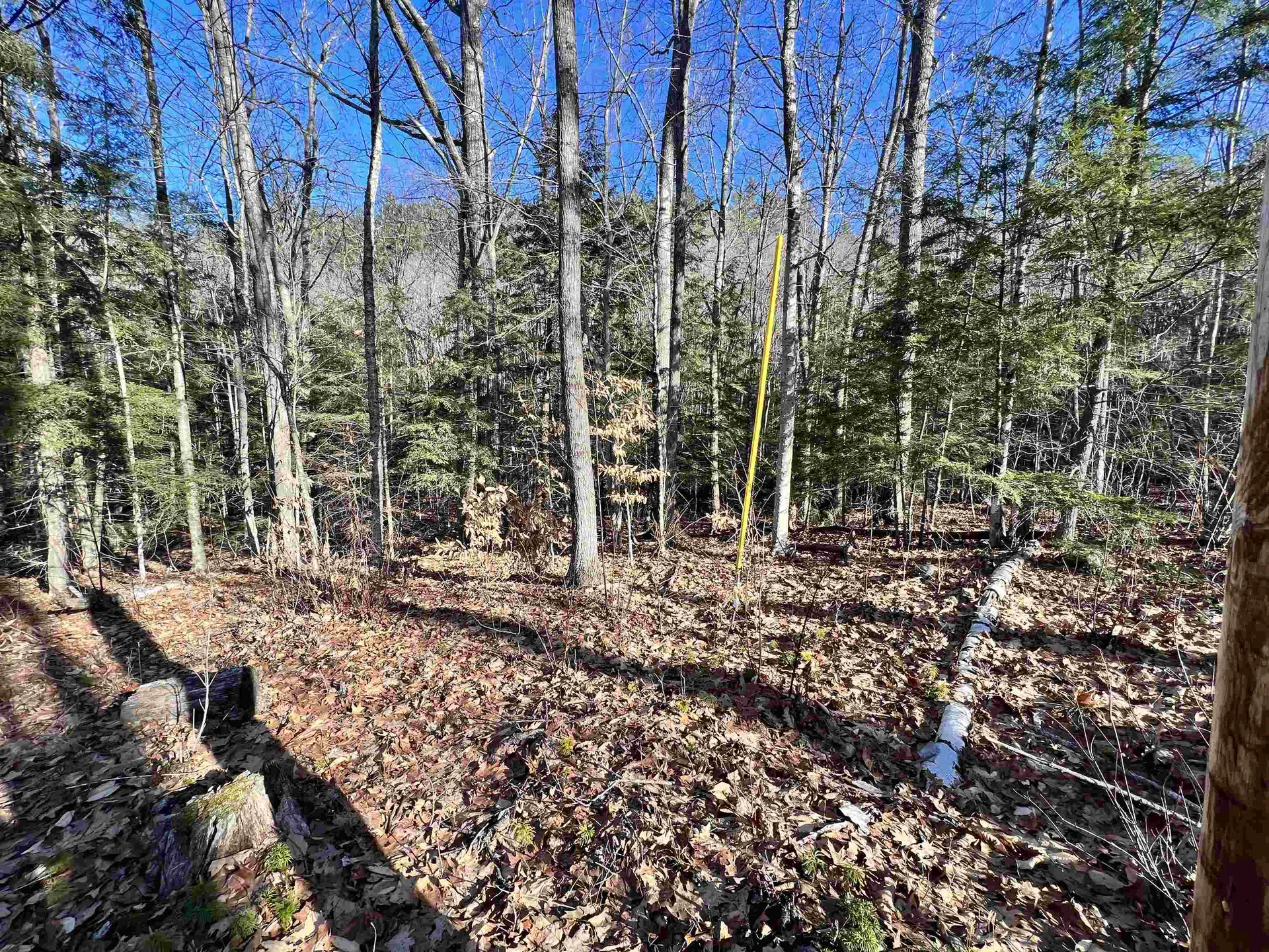 0 Hinkson Brook Road Canaan NH 03741