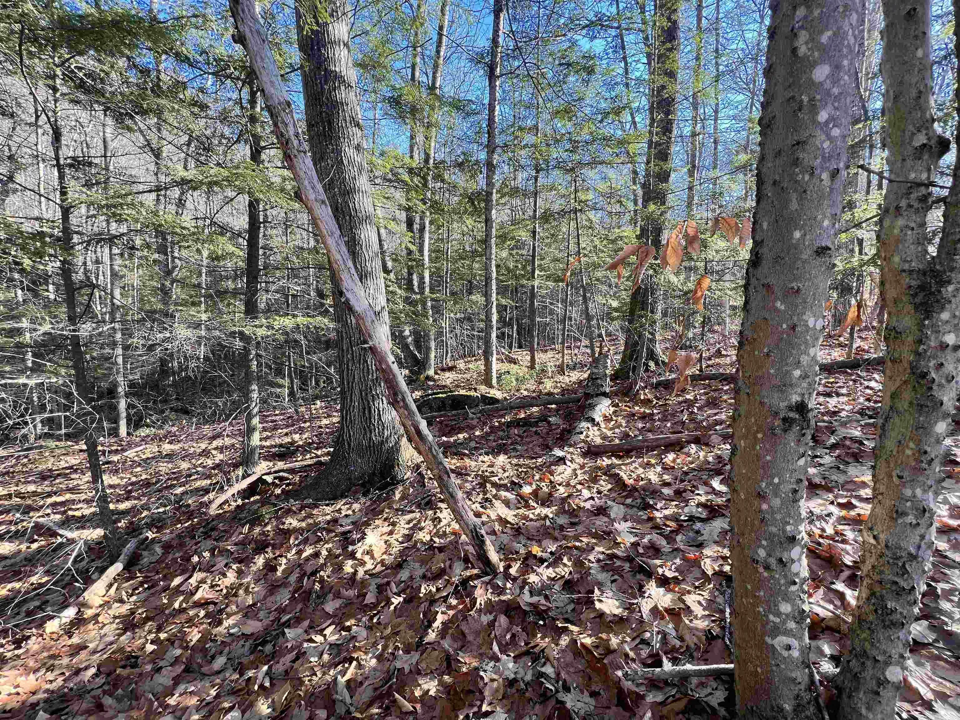 0 Hinkson Brook Road Canaan NH 03741