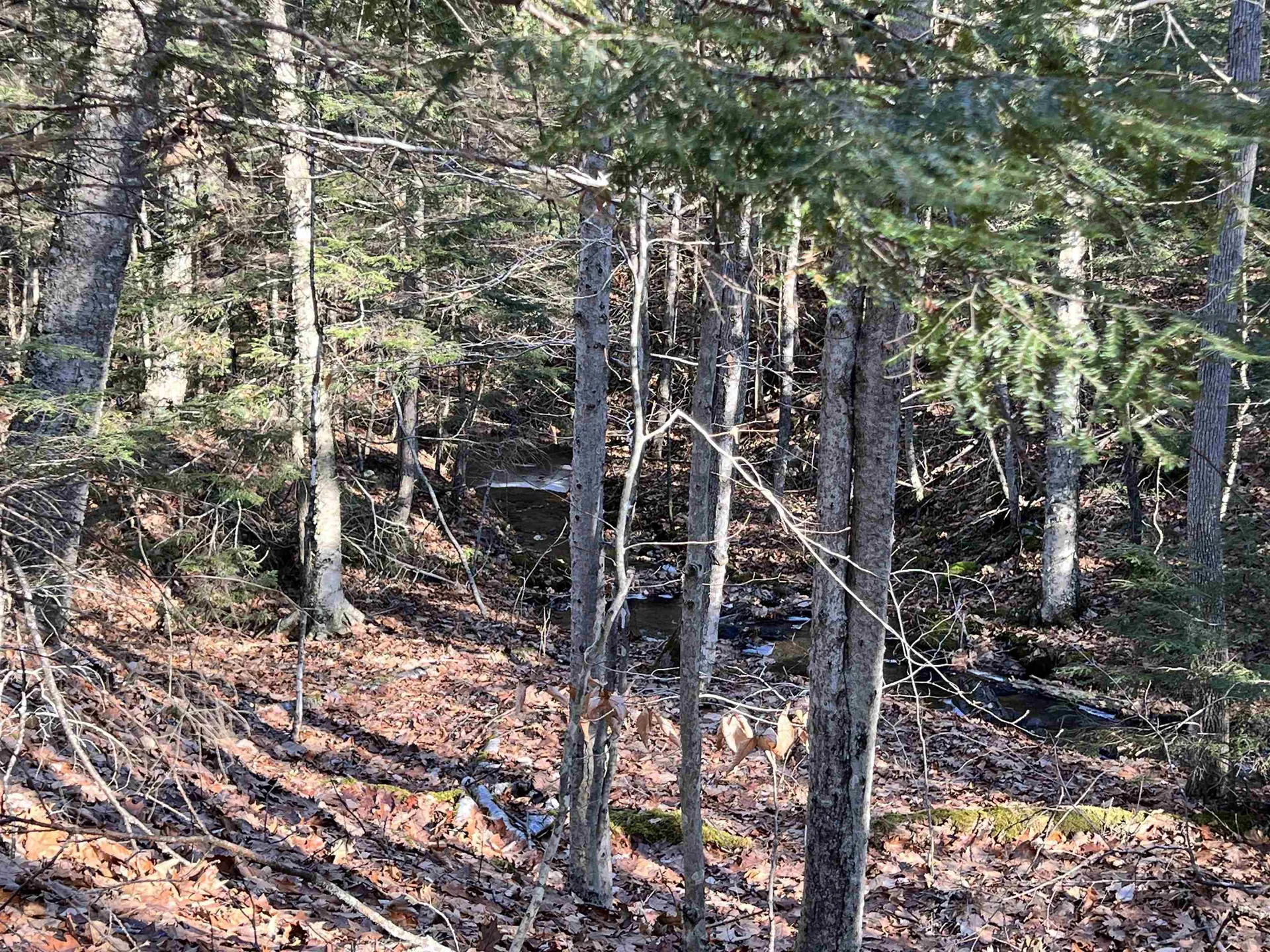 0 Hinkson Brook Road Canaan NH 03741