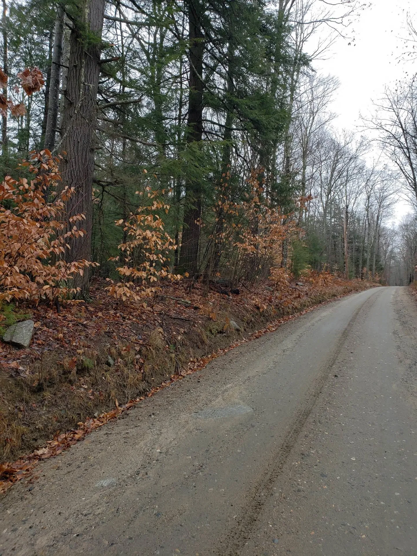0 Hinkson Brook Road Canaan NH 03741