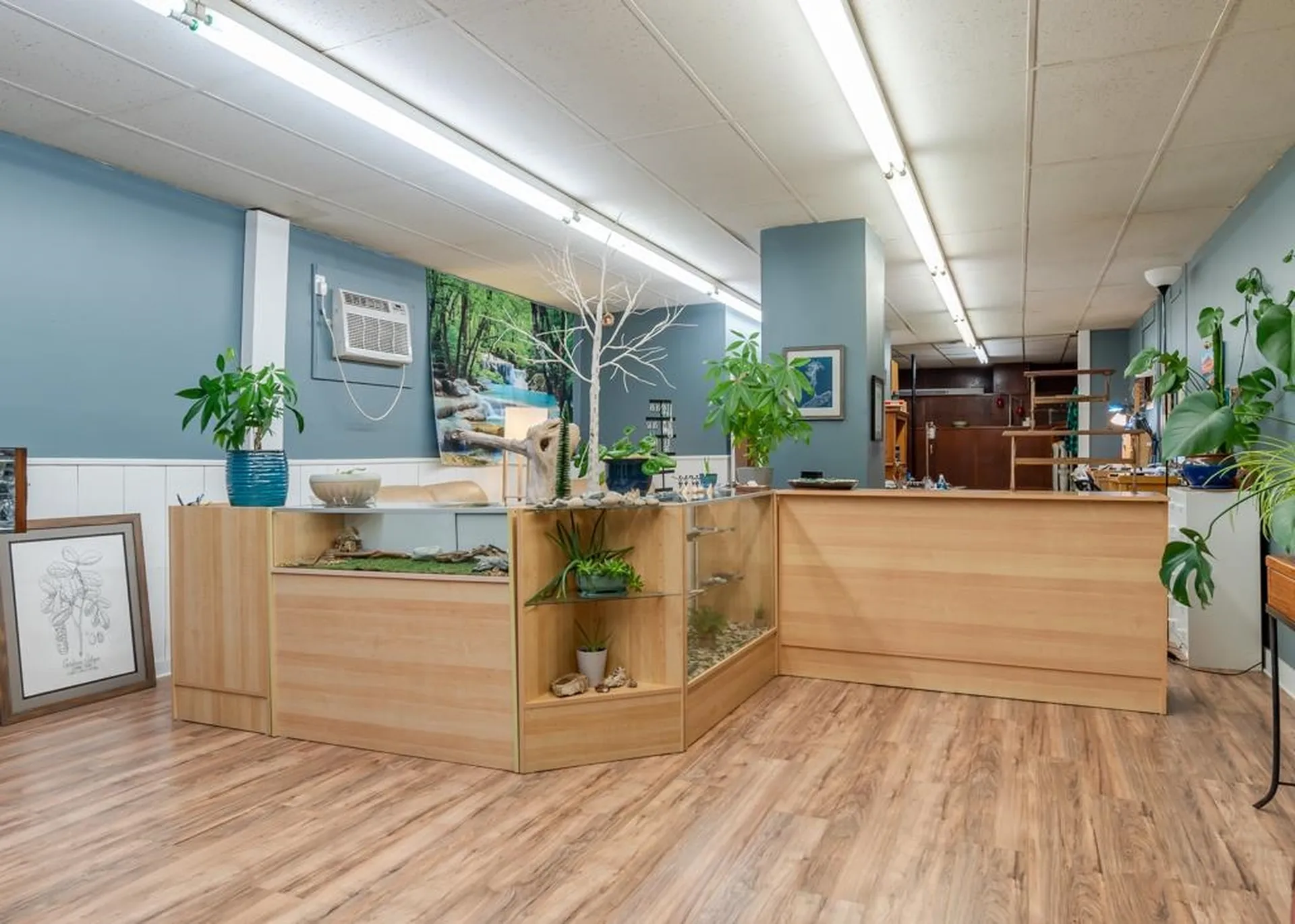 123 Main Street Somersworth NH 03878
