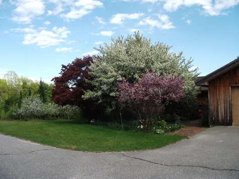 55 Durgin Road Tuftonboro NH 03816