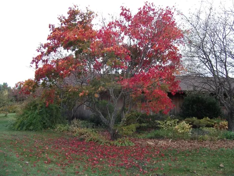 55 Durgin Road Tuftonboro NH 03816