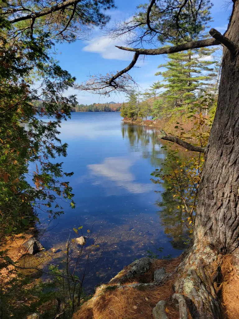238 Ricker Mill Road Groton VT 05046
