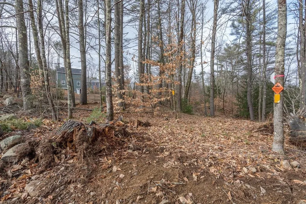 30 Wild Goose Road Strafford NH 03884