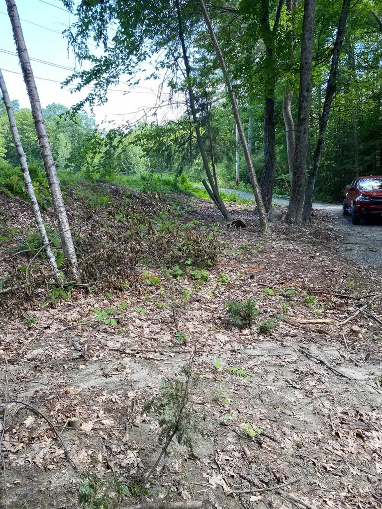 Hilltop View Drive Haverhill NH 03774