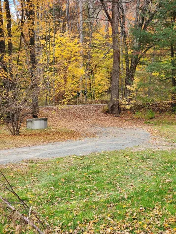 394 Timson Hill Road Newfane VT 05345