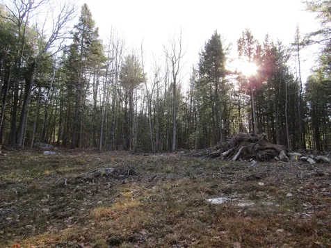 0 Igls Lane Conway NH 03818