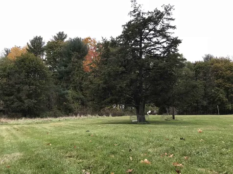 17 Snows Court Dover NH 03820