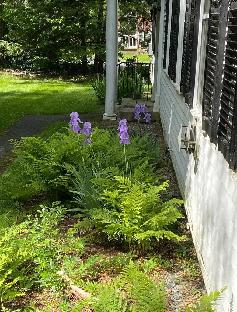 13 Flat Iron Road Plainfield NH 03781