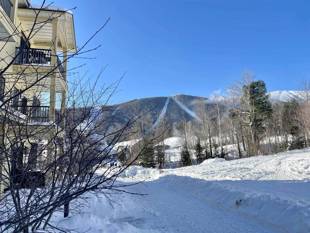 104 Gadd Brook Drive Warren VT 05674
