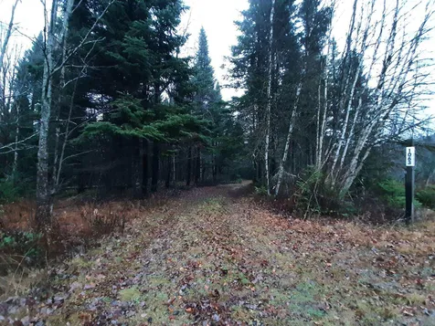 1063 Indian Stream Road Pittsburg NH 03592