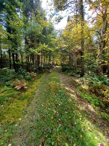 1063 Indian Stream Road Pittsburg NH 03592