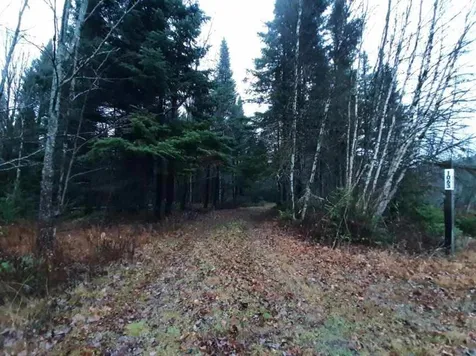 1063 Indian Stream Road Pittsburg NH 03592