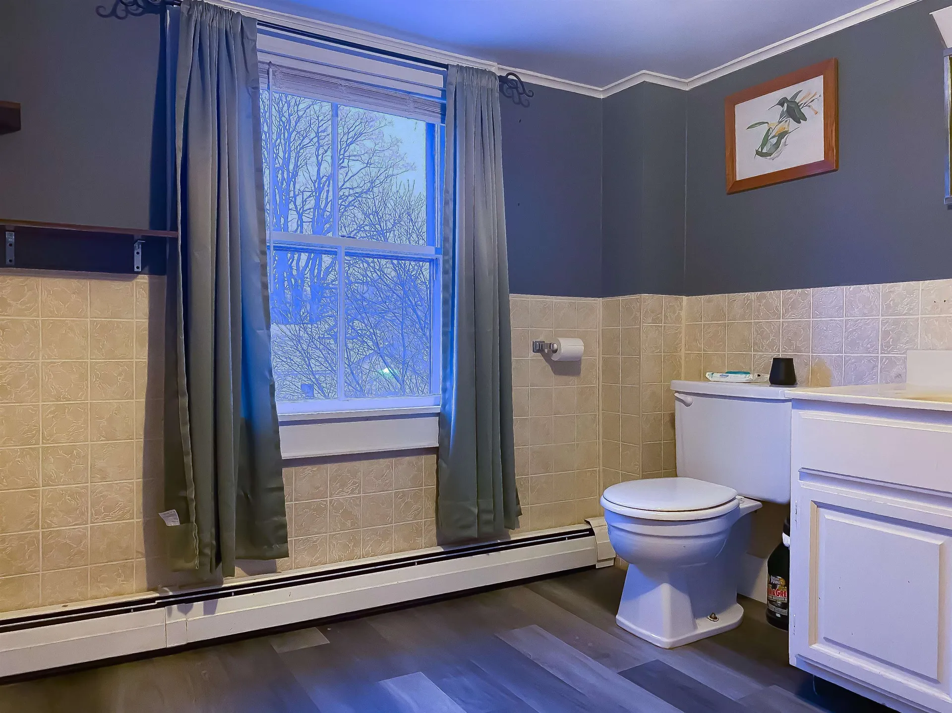 13 Canaan Street Canaan NH 03741