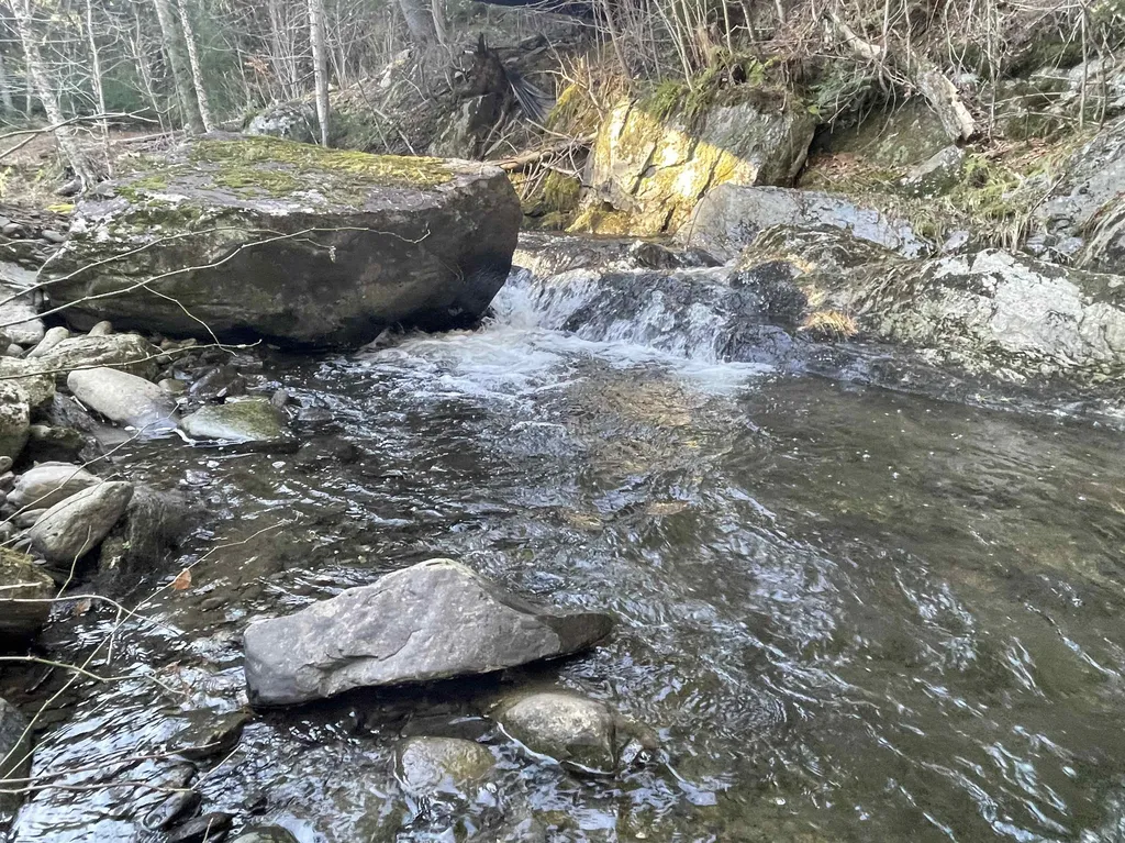 3620 East Warren Road Waitsfield VT 05673