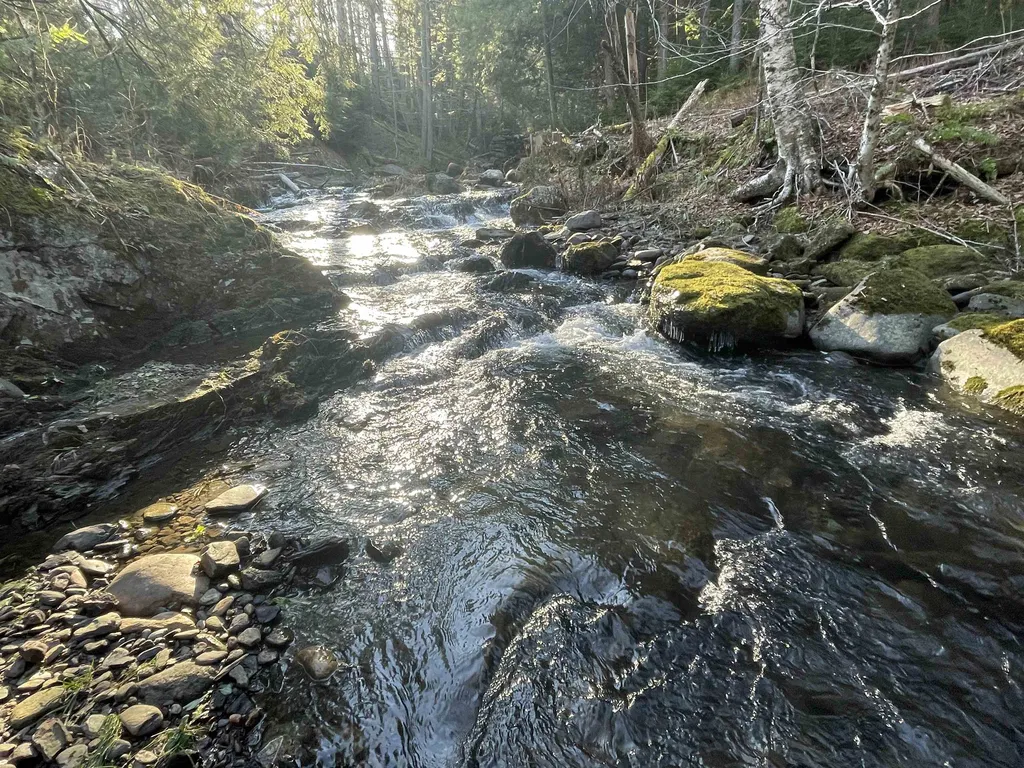 3620 East Warren Road Waitsfield VT 05673
